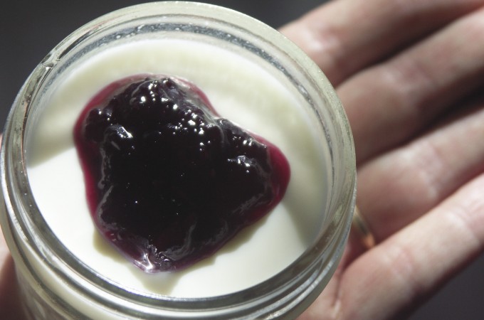 vietnameseyogurt9