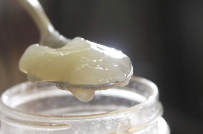 chickenstock2