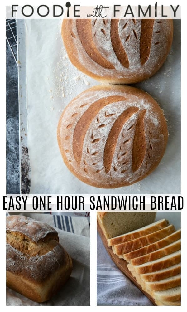 Sandwich Bread in One Hour Easy Bread Recipe