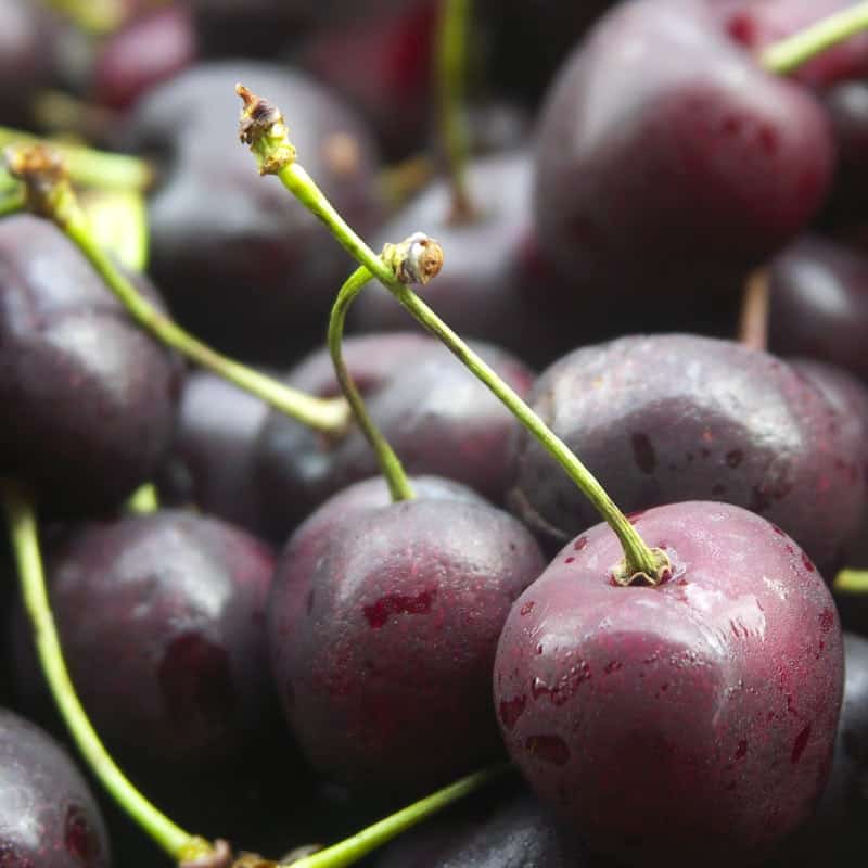 Rum Soaked Preserved Cherries + Boozy Cherry Molasses