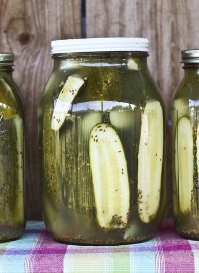 Homemade Claussen Knock-off Pickles are dead crunchy, garlicky, salty, and the perfect accompaniment to any sandwich on earth. Plus they're easy enough for beginner food preservationists!