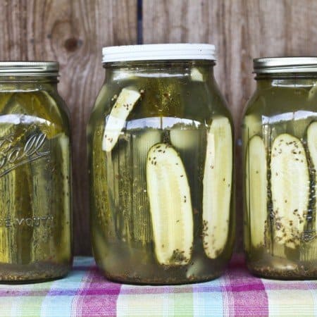 Homemade Claussen Knock-off Pickles are dead crunchy, garlicky, salty, and the perfect accompaniment to any sandwich on earth. Plus they're easy enough for beginner food preservationists!
