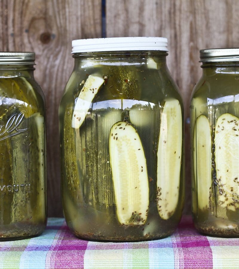 Homemade Claussen Knock-off Pickles are dead crunchy, garlicky, salty, and the perfect accompaniment to any sandwich on earth. Plus they're easy enough for beginner food preservationists!