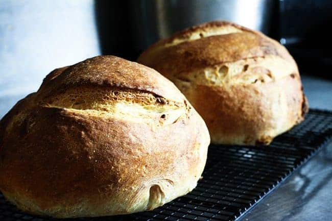 Roasted Garlic Rustic Sourdough Boule | www.foodiewithfamily.com