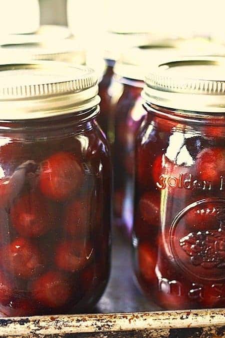 Russian Pickled Cherries from foodiewithfamily.com