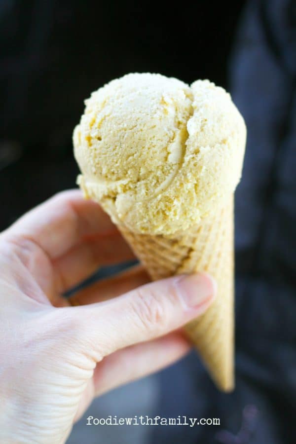 Super silky Cinnamon Frozen Custard is the ultimate dessert for cinnamon lovers! foodiewithfamily.com