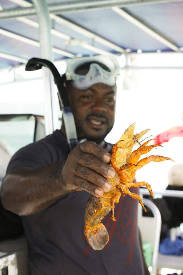 Sargeant's Cay Snorekling Guide in Belize: Cruising on the Carnival Sunshine foodiewithfamily.com