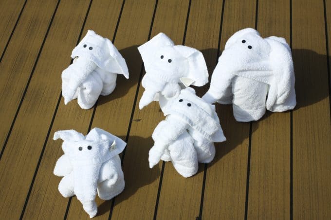 Towel Elephants on Parade: Cruising on the Carnival Sunshine foodiewithfamily.com