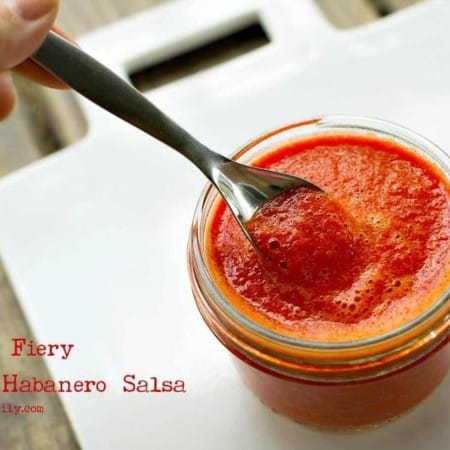 Fruity, Fiery, Smooth Habanero Salsa like the Blue Iguana Cantina from foodiewithfamily.com