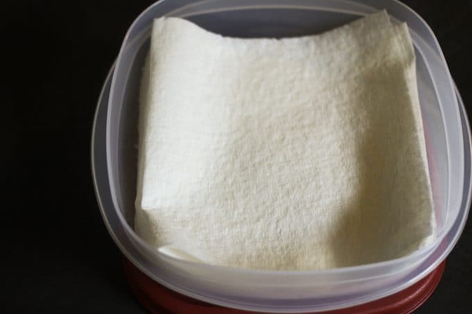 How to make DIY All-Natural Disposable Make-up Removal Towelettes from foodiewithfamily.com
