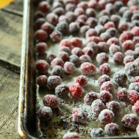Simple Candied Cranberries + Cranberry Syrup; a holiday two-fer from foodiewithfamily.com