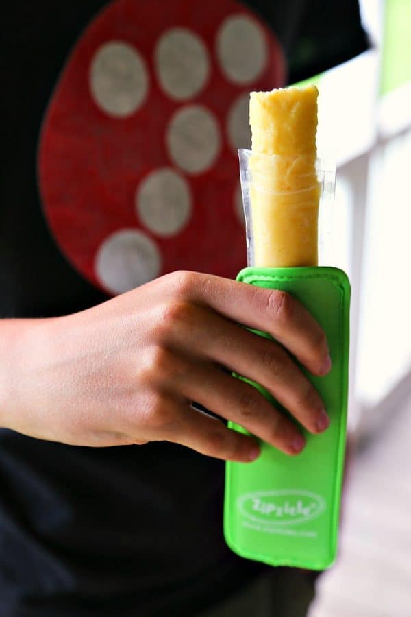 DIY Freezer Pops {Ice Pops} from foodiewithfamily.com