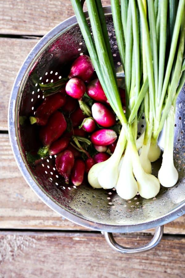 Radishes and spring onions  for Crispy Roasted Radishes with Onions