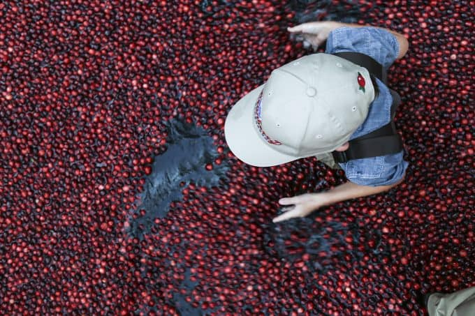 The Ocean Spray® Cranberry Classroom 