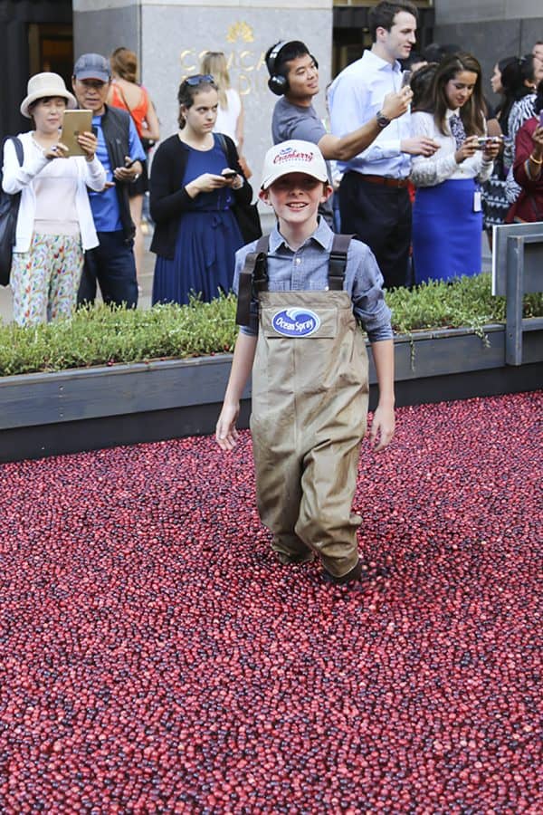 The Ocean Spray® Cranberry Classroom 