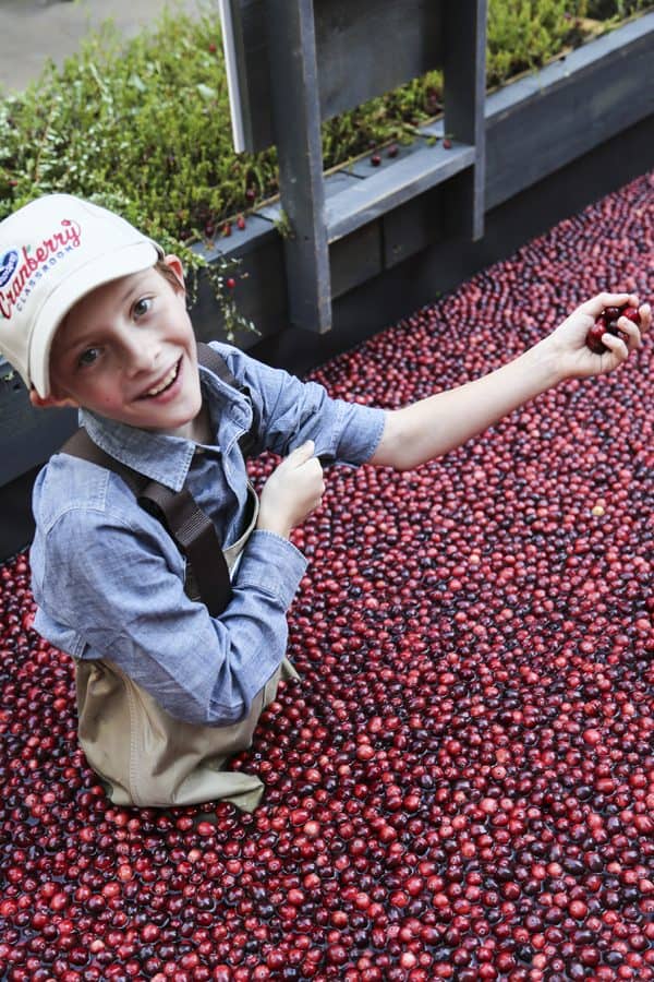 The Ocean Spray® Cranberry Classroom 