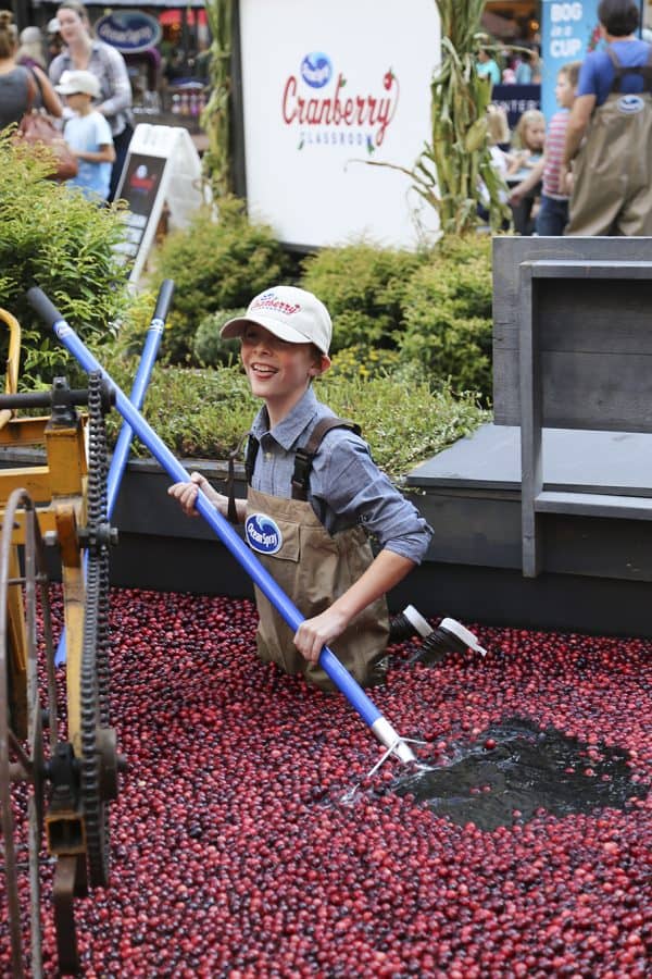 The Ocean Spray® Cranberry Classroom 