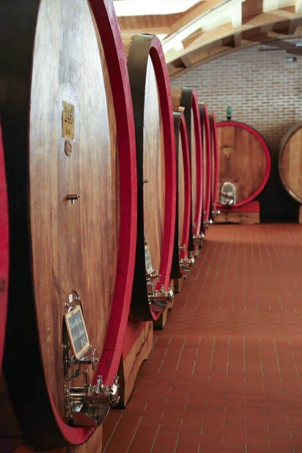 The wine barrels in the barrel room at DaVinci's Montalcino winemaking facility foodiewithfamily.com