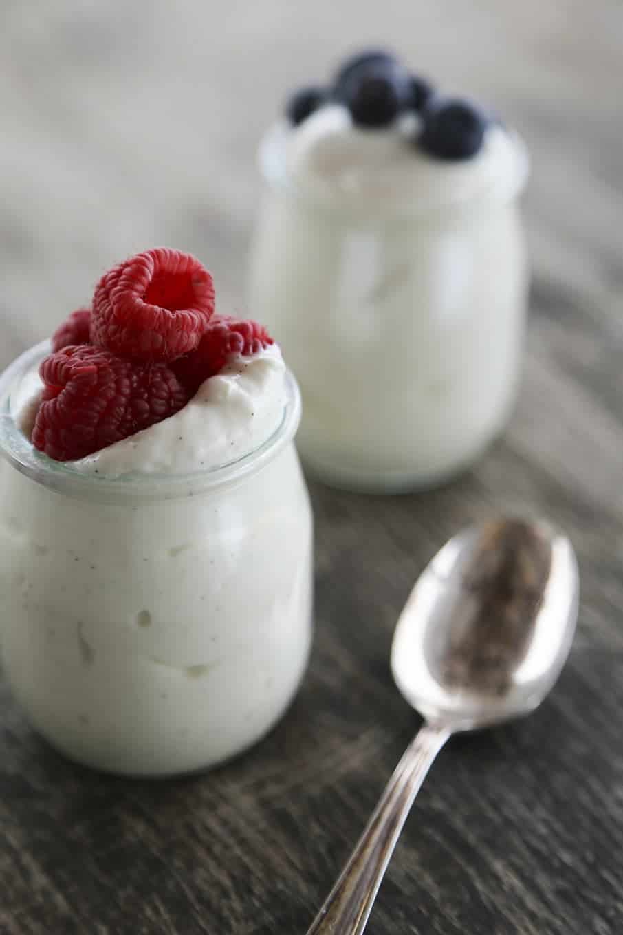 Skyr Recipe Instant Pot Blog Dandk