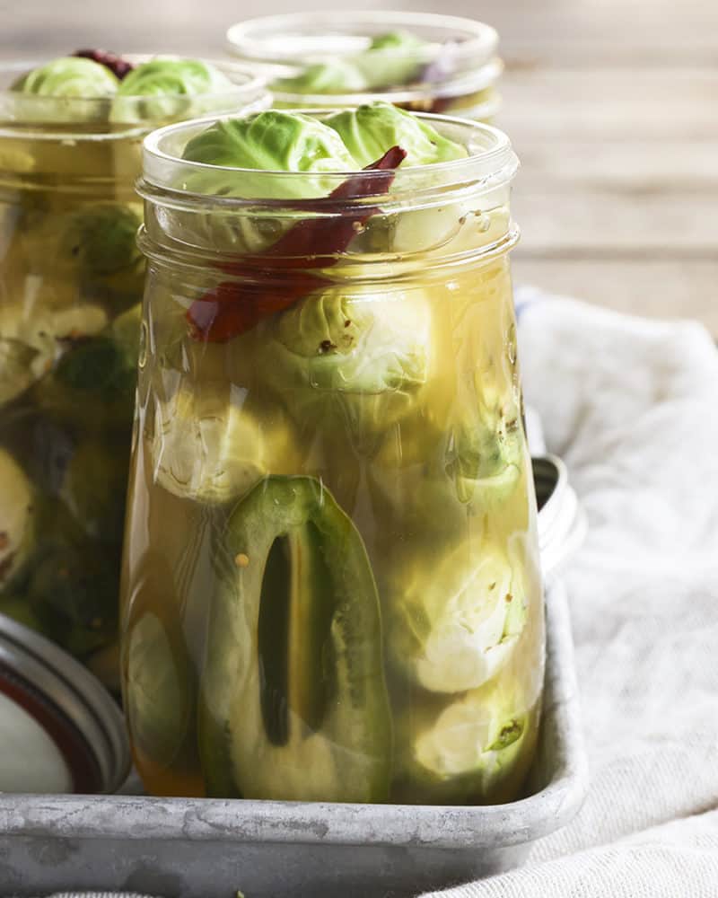 Pickled Brussels Sprouts are garlicky, tangy, crisp-tender, pickled orbs that are delicious as a snack or on a charcuterie board.