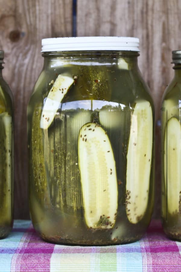 n Pickles are kosher dill pickles at their crunchiest, saltiest best! These homemade Claussen pickles taste like the commercial ones you find at the store, but better. And better yet, they're ridiculously easy to make!