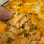 A hand holding a piece of buffalo chicken dip.