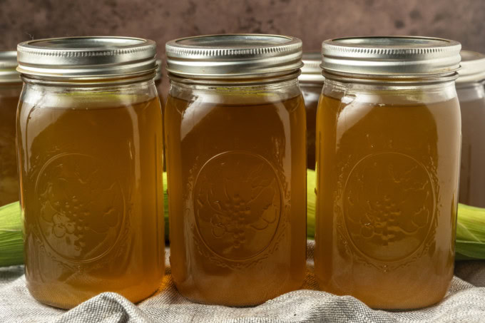 corn stock with an ear of sweet corn