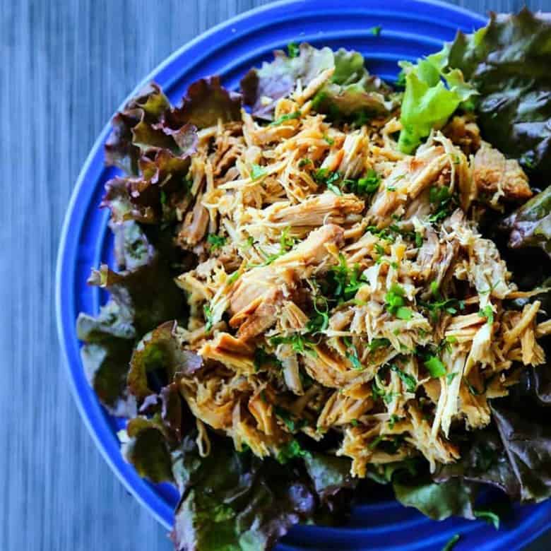 https://www.foodiewithfamily.com/wp-content/uploads/2040/06/Slow-cooker-lemongrass-pork-3-780x780.jpg