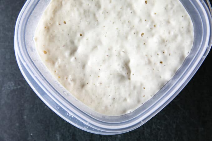 This tutorial shows you how to make a sourdough starter using just flour and water. You'll be ready to bake sourdough bread in as few as 5 days!