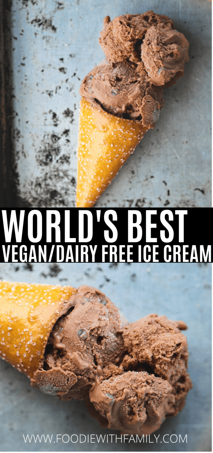 BEST CREAMY DAIRY FREE ICE CREAM RECIPE visual data 5