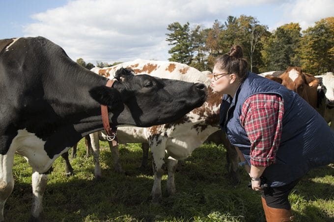 Dellavale Farm Cabot Creamery Cooperative