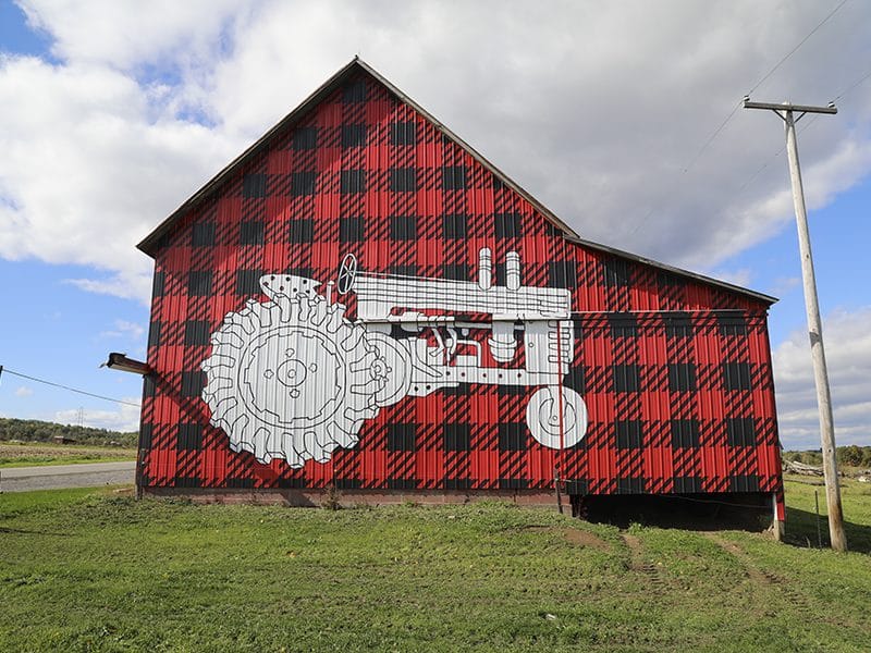 Dellavale Farm Cabot Creamery Cooperative